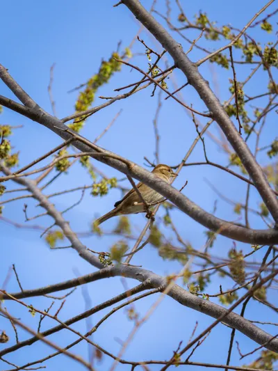 Naturaleza 8